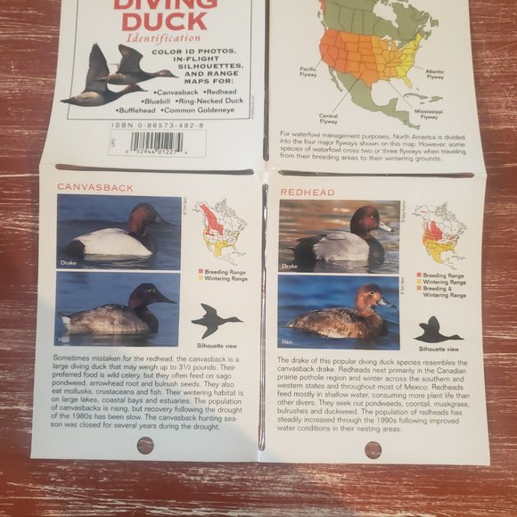 Duck Hunting Laminated Pocket Guides - Set of 3 - Picture 6 of 11